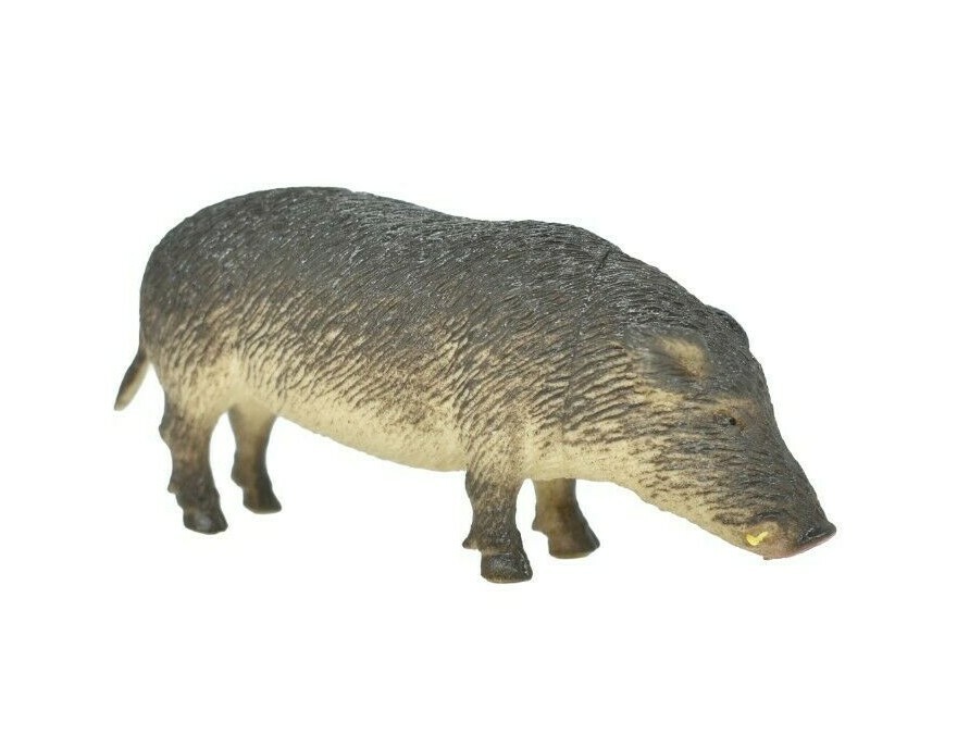 Pig, Grey, Wild, Feral hog, Plastic Animal, Realistic Hand Painted