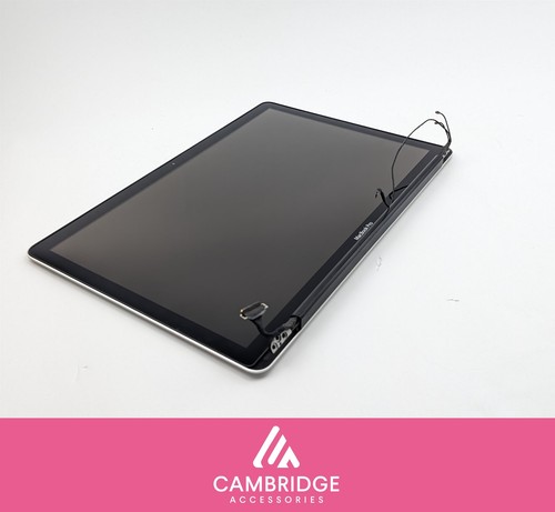 MacBook Pro 15" A1286 Mid 2010 LCD Screen Display Full Assembly Silber