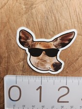 DOG Sticker Funny Sticker Funny Decal Meme Sticker Meme Decal Joke
