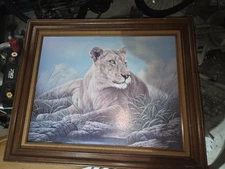 ORIGINAL Framed PAINTING - LION -Oil on canvas-signed REX