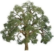JTT Live Oak - O Scale Model Railroad Tree - #96043