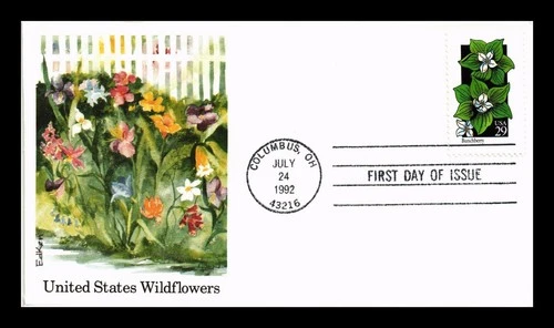 DR JIM STAMPS US COVER BUNCHBERRY WILDFLOWERS FIRST DAY ISSUE EDKEN CACHET