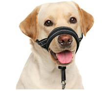 no pull barkless black reflective dog collar size small 7in-10 1/2 in