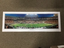 34 Yard Line Panoramic Tennessee Rob Arra Collection