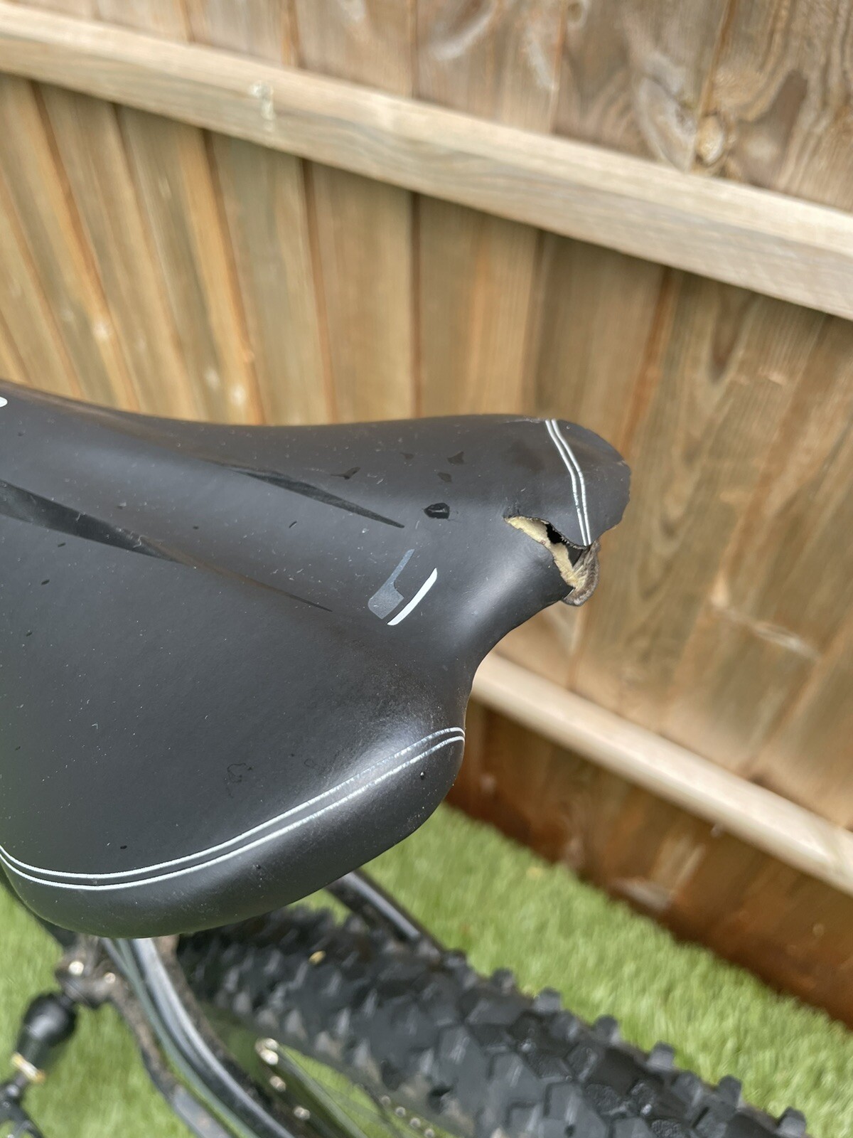 carrera vengeance blue and black