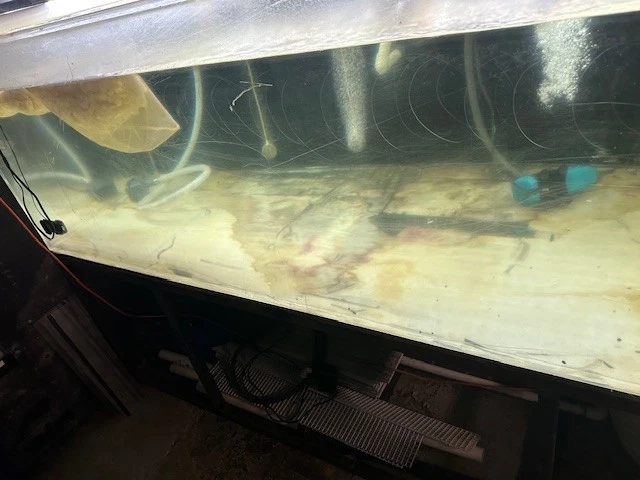 PECERA ACRÍLICA 600 GALONES Y SUMA Foto 4 de 4