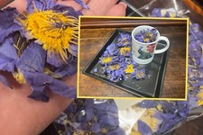28g /1oz Organic Dried Whole Lotus Flowers Tea Nymphaea Caerulea USA Shipped