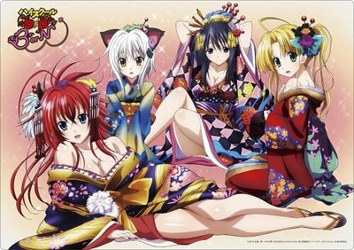 High School DxD BorN Rias Akeno Asia Koneko B2 Microfiber Towel Capibara New