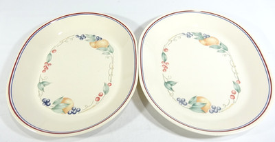 2 Oval Serving Platters Corelle Coordinates Abundance Pattern