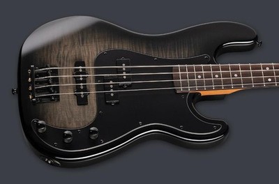 PRE-ORDER - 2026 LTD SURVEYOR-204DX DX SERIES BASS  BLACK BURST