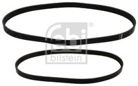 Keilrippenriemensatz Febi Bilstein 40858 FÜR Ford