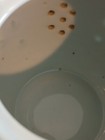 Foto 9 di 24