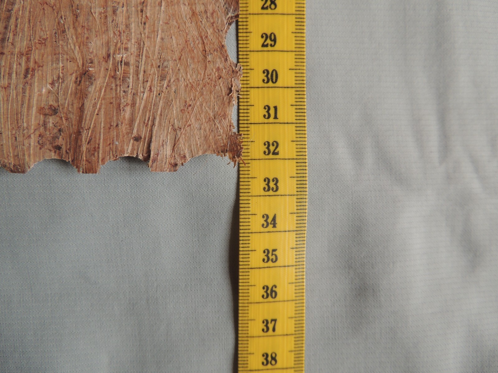 Picture 10 of 10
