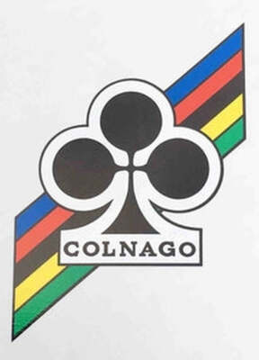 COLNAGO head decal