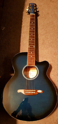 Cole Clark Fat Lady 2 EC Bunya Blackwood Acoustic Guitar | eBay