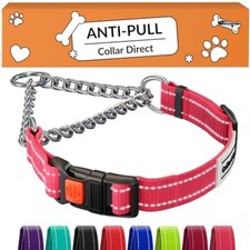 Reflective Martingale Dog Collar Pink Large 17-22 in 1 in Nylon Steel Chain