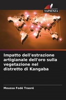 Moussa Fodé Traoré | Impatto Dell'estrazione Artigianale Dell'oro Sulla...