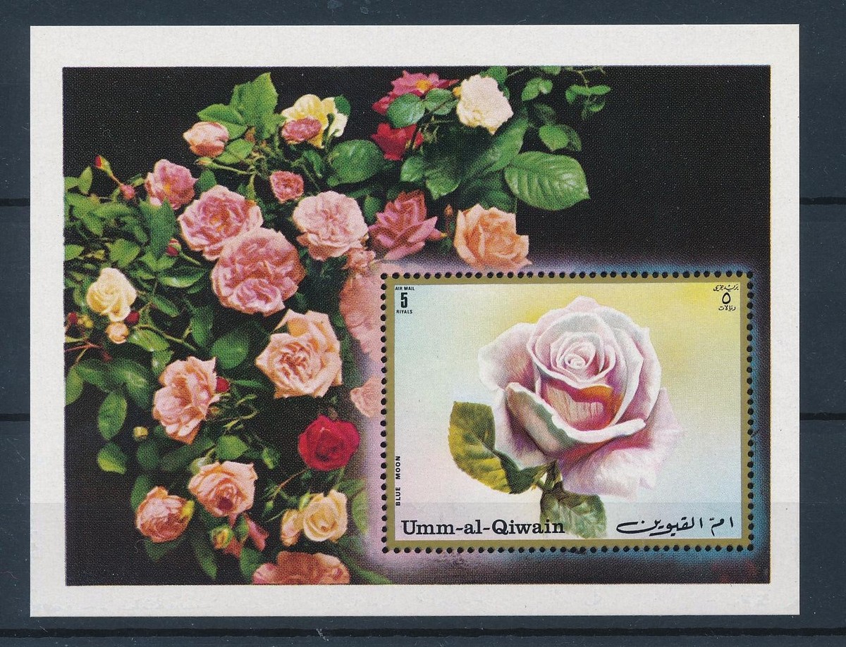 36544] Umm al Qiwain 1972 Flora flowers blumen Roses Souvenir