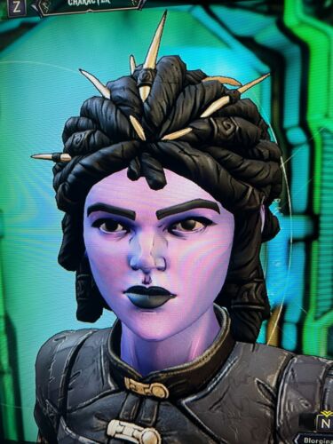 PS/XBOX/PC Tiny Tina's Wonderlands TODOS LOS ACCESORIOS DE CABEZA COSMÉTICOS ENGRANAJES SKINS DLC - Imagen 38 de 55