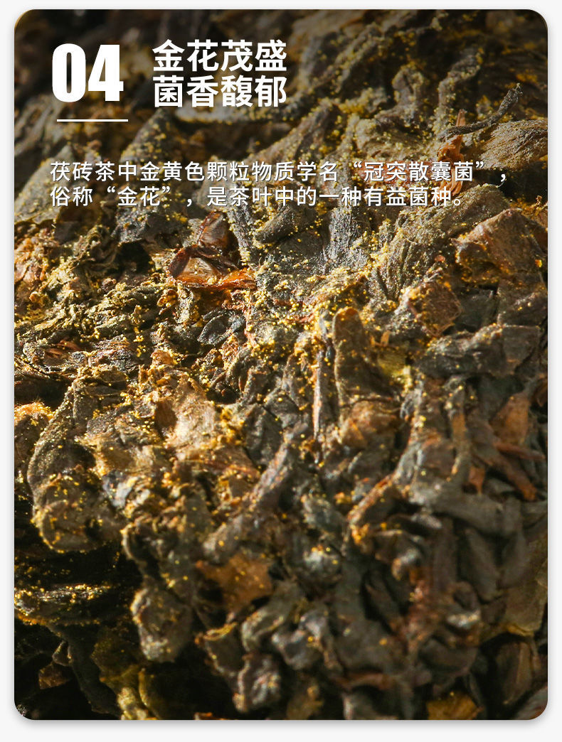 1000g China Tea AnHua Black Tea 中茶茶叶湖南安化黑茶润黑手筑