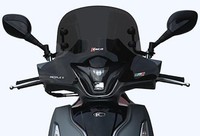 Cupolino Faco Rauchgrau Kymco People 300S 2019 2020 2021 2022 2023