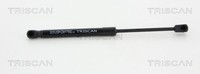 Triscan Gasfeder Motorhaube 8710 29134 FüR Audi A6 C7 4G2 4GC Avant 4G5 4GD A7