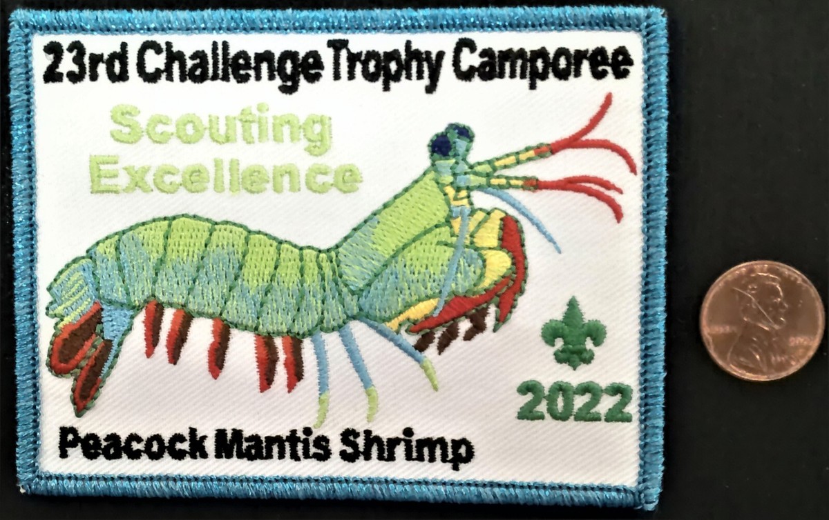 23RD CHALLENGE TROPHY CAMPOREE 2022 PEACOCK MANTIS SHRIMP 