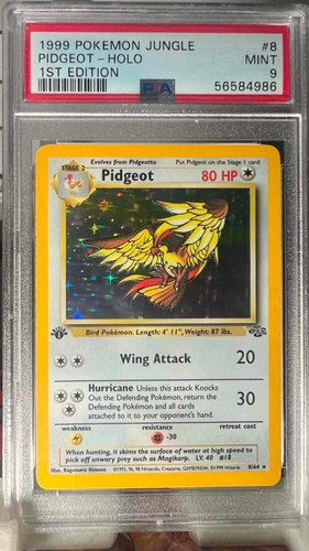 Pidgeot (1st Edition) graded PSA 9 for sale on eBay