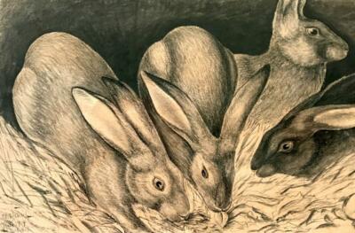 Rabbits Print – Adolf Dietrich – 1904 Swiss Animal Study Rustic Cottage ...