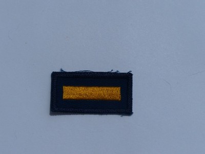 Unused Vintage Cub Scouts BSA Assistant Denner 1 Gold Bar Insignia G.B. Patch