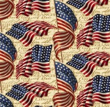 Spring Creative - Patriotic We Pledge Allegiance Quilting Fabric         