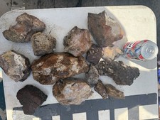 lot a over 18lb common opal rough jasper potch pink yellow dendritic agatized