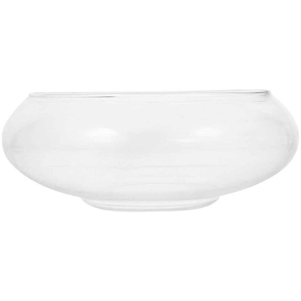 Clear Glass Hydroponic Planter Bowl for Plants or Fish