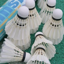 Badminton Shuttlecocks 12-Pack, Durable Feather Badminton Birdies with High Stab