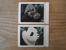 Lot 2 Cartes JUJUTSU KAISEN - PHOTO STYLE Card # 18 20 (Panda Set) - Movic Japan