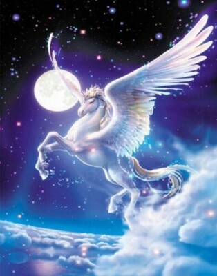 Diamond Painting- Diamant Malerei -40x30 Bild  Pferd  Pegasus Pferd