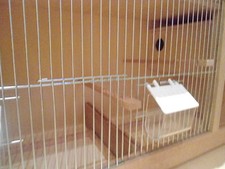 Zuchtbox mit Wellensittichnistkasten 