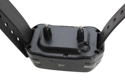 Garmin Tri-Tronics PRO Series PT10 Collar - Good Condition - Long Contacts - Picture 10 of 10