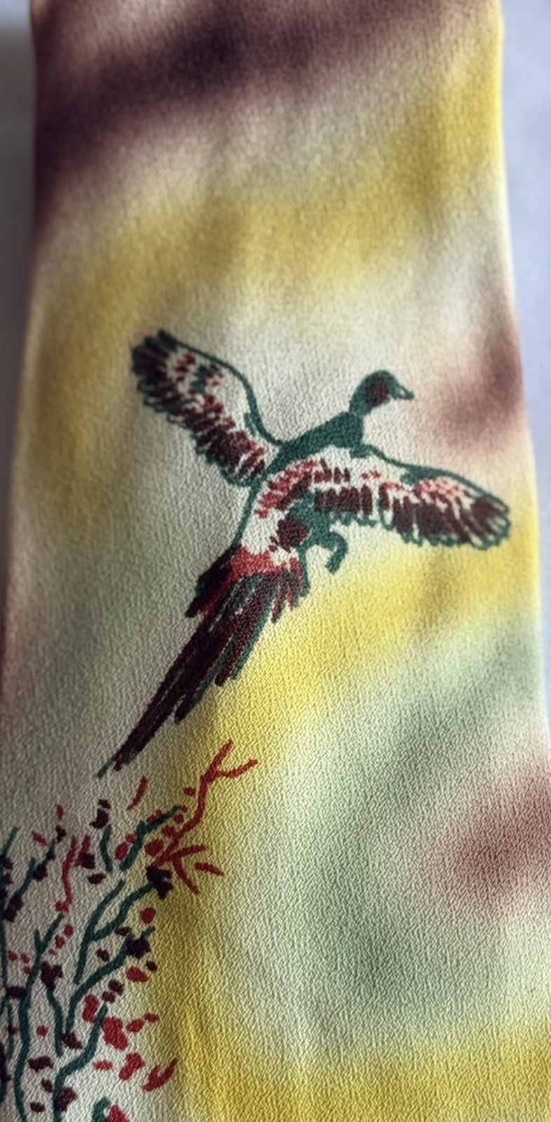 Picture 2 of 6