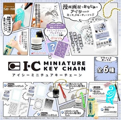 Icy miniature key chain 6 piece box