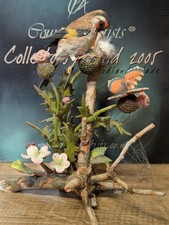Country Artists Goldfinch Of Woodland Gale - With CoA And original Box