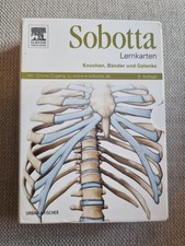 Sobotta Lernkarten Knochen, Bänder und Gelenke - 6. Auflage - Elsevier