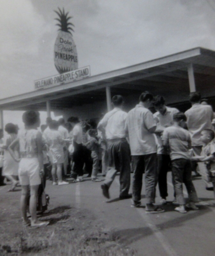 Vintage Hawaii Dole Pineapple Stand Photo Helemano Plantation Wahiawa Oahu 1950s