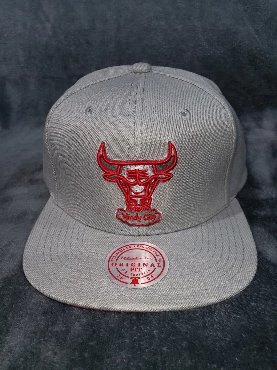 Mitchell & Ness NBA Day 4 Snapback Chicago Bulls Men Caps Grey in size:ONE Size