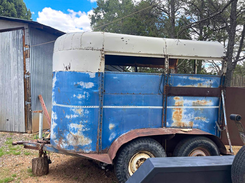 Mountain Horse Trailer