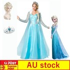 Adult Women Princess Elsa  Frozen Cosplay Costume Dress Wig Halloween Party