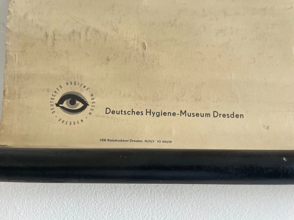 Carta escolar original vintage médica desmontable del sistema digestivo, estómago Foto 2 de 2