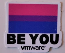 VMware Be You Pride Rainbow Sticker Decal Vinyl NEW 1x1 BI Bisexuality 