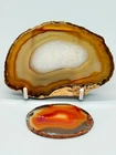 Natural Agate Slices Set - Beautiful Grain & Warm Colours