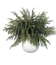 16 Pcs Real Touch Norfolk Pine Branch -18" Artificial Christmas Green Plants